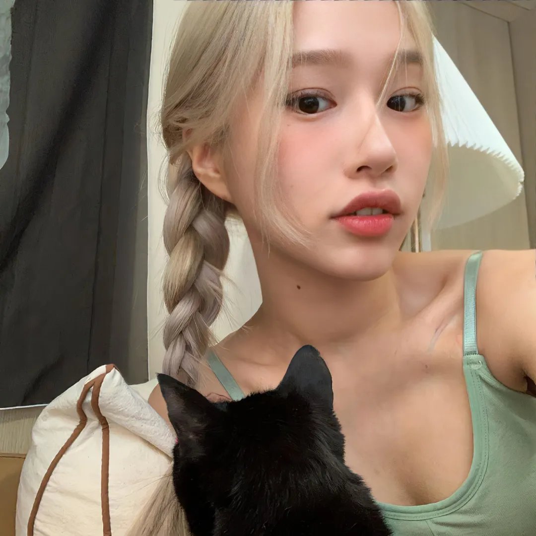 崔弟的高飞冒险